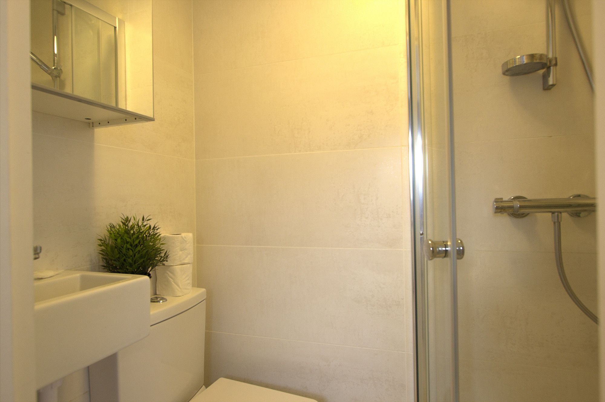A bathroom with a glass shower enclosure, a white sink, and a small potted plant.