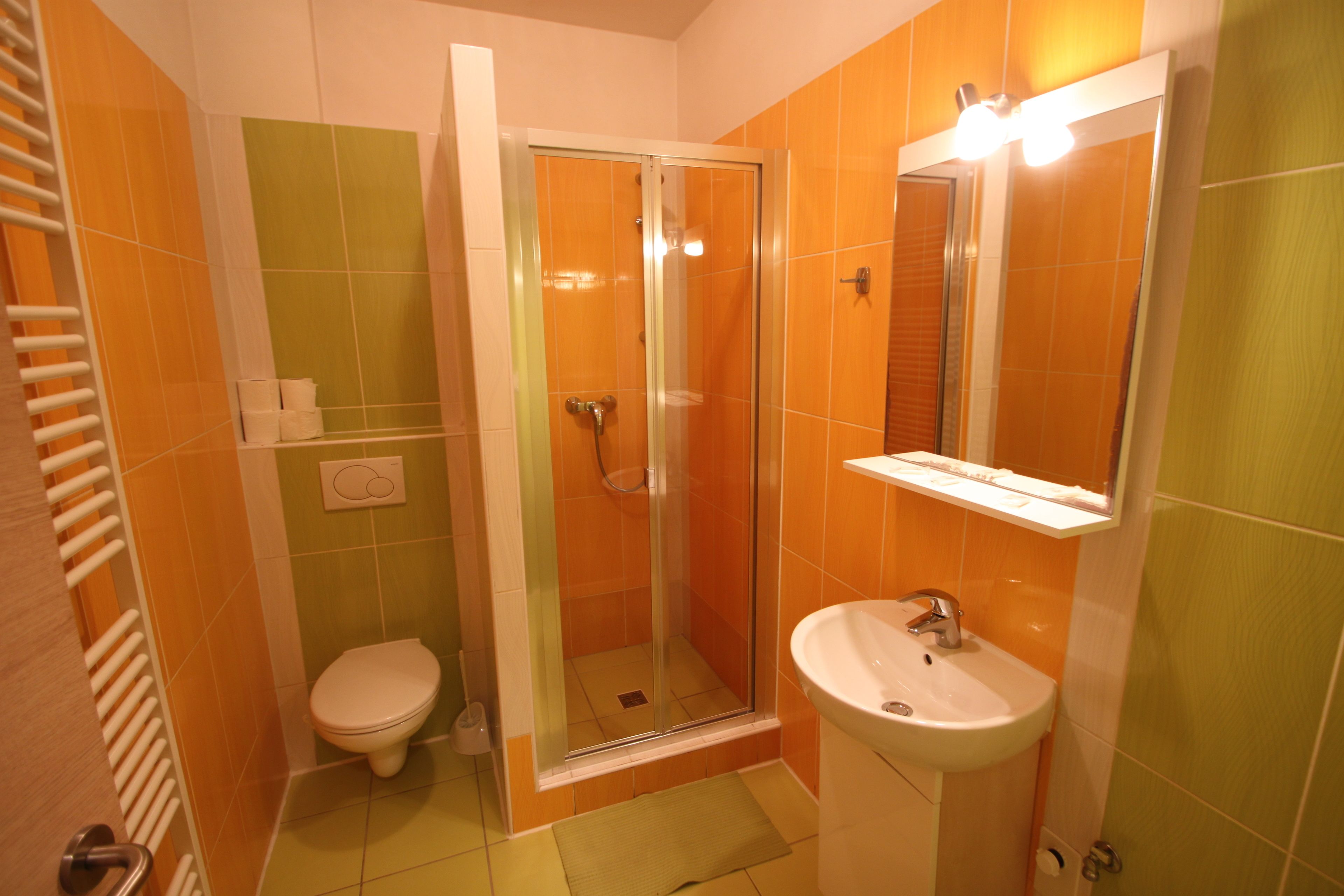 basic apartment | bathroom | shower, free toiletries, towels