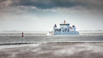 A ferry with a white superstructure and multiple decks, traveling on a body of water with a sandy beach in the foreground.