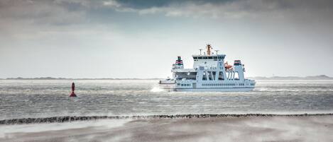 A ferry with a white superstructure and multiple decks, traveling on a body of water with a sandy beach in the foreground.