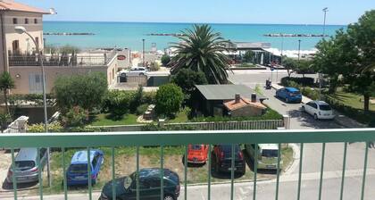 B&B Galletto