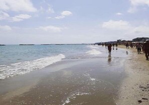 Ubicación cercana a la playa, arena blanca y bar en la playa