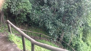 Exterior - Togara Cabin (Victoria Falls)
