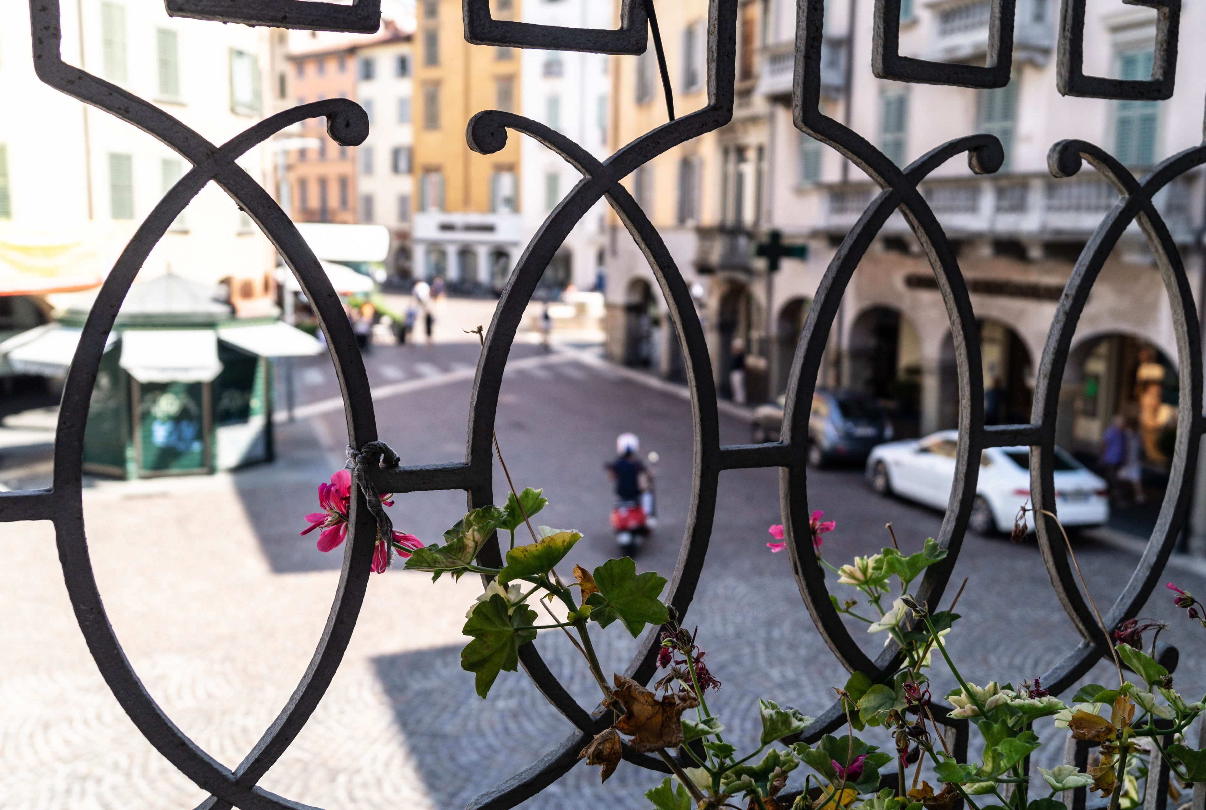 Foto - Ilsanleonardo