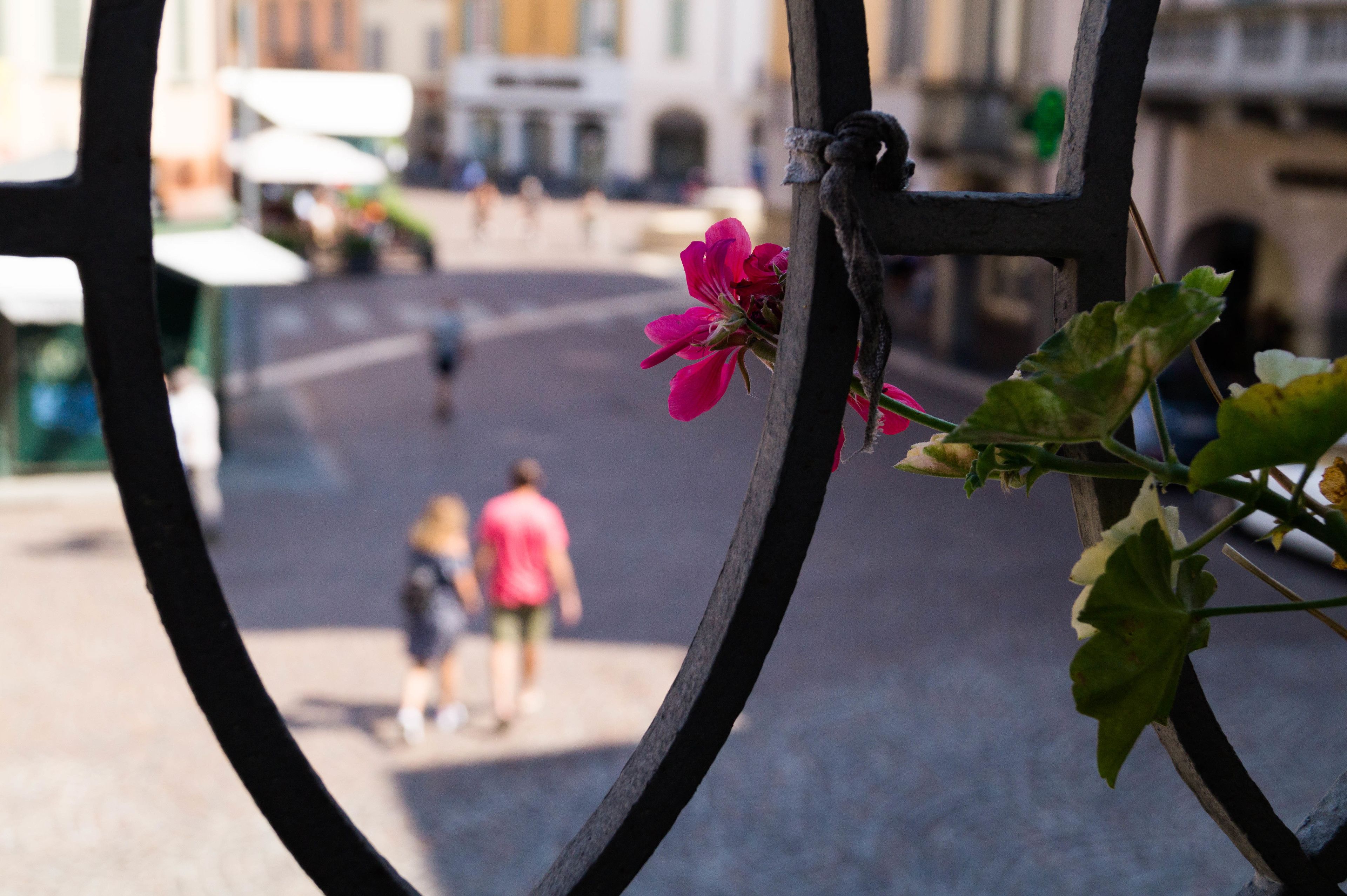 Foto - Ilsanleonardo