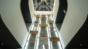 Un intérieur moderne avec un escalier central, de grandes fenêtres de part et d’autre, et des jardinières agrémentées de plantes vertes.