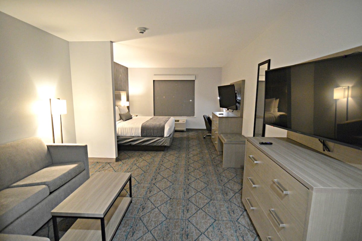suite, 1 king bed, non smoking, kitchenette (shower only;with sofabed) | desk, laptop workspace, blackout curtains, soundproofing