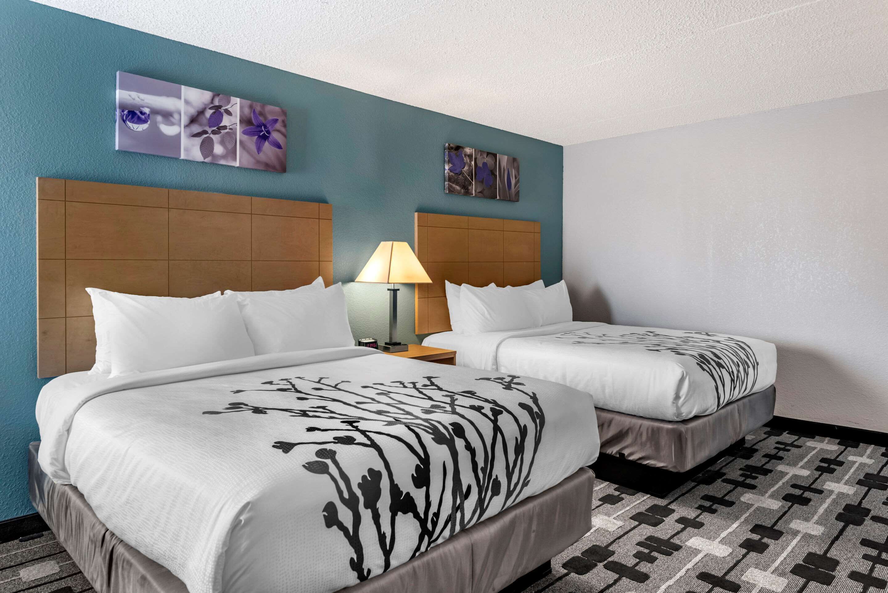 Une chambre d’hôtel avec deux lits, un mur d’accent de couleur turquoise et des œuvres d’art au-dessus des lits.
