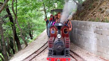 Activités pour enfants