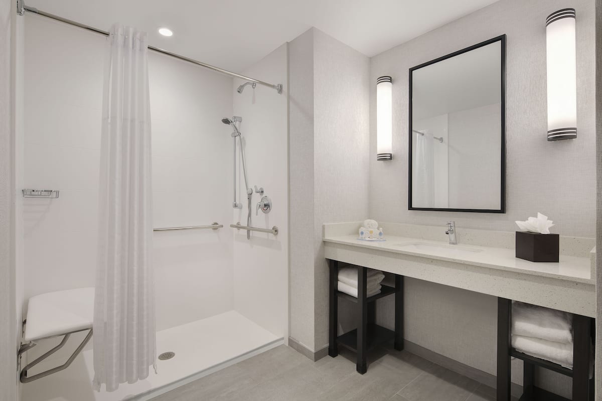 combined shower/bathtub, free toiletries, hair dryer, towels