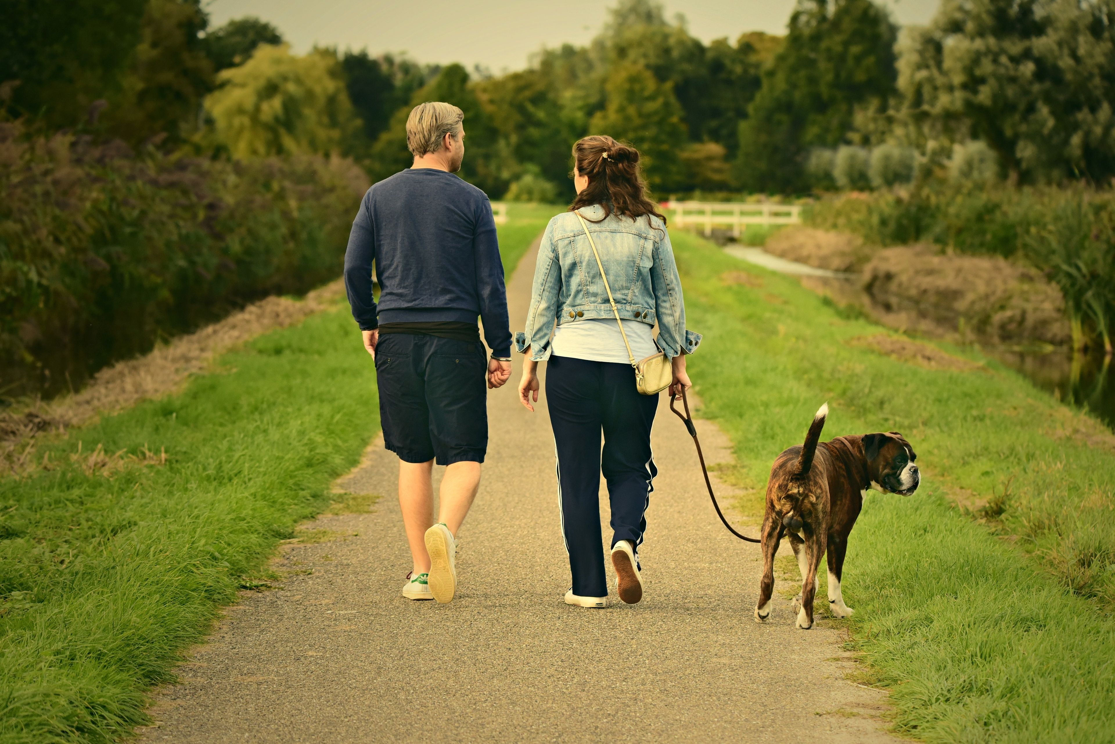 A couple walking a dog on a paved path surrounded by greenery.