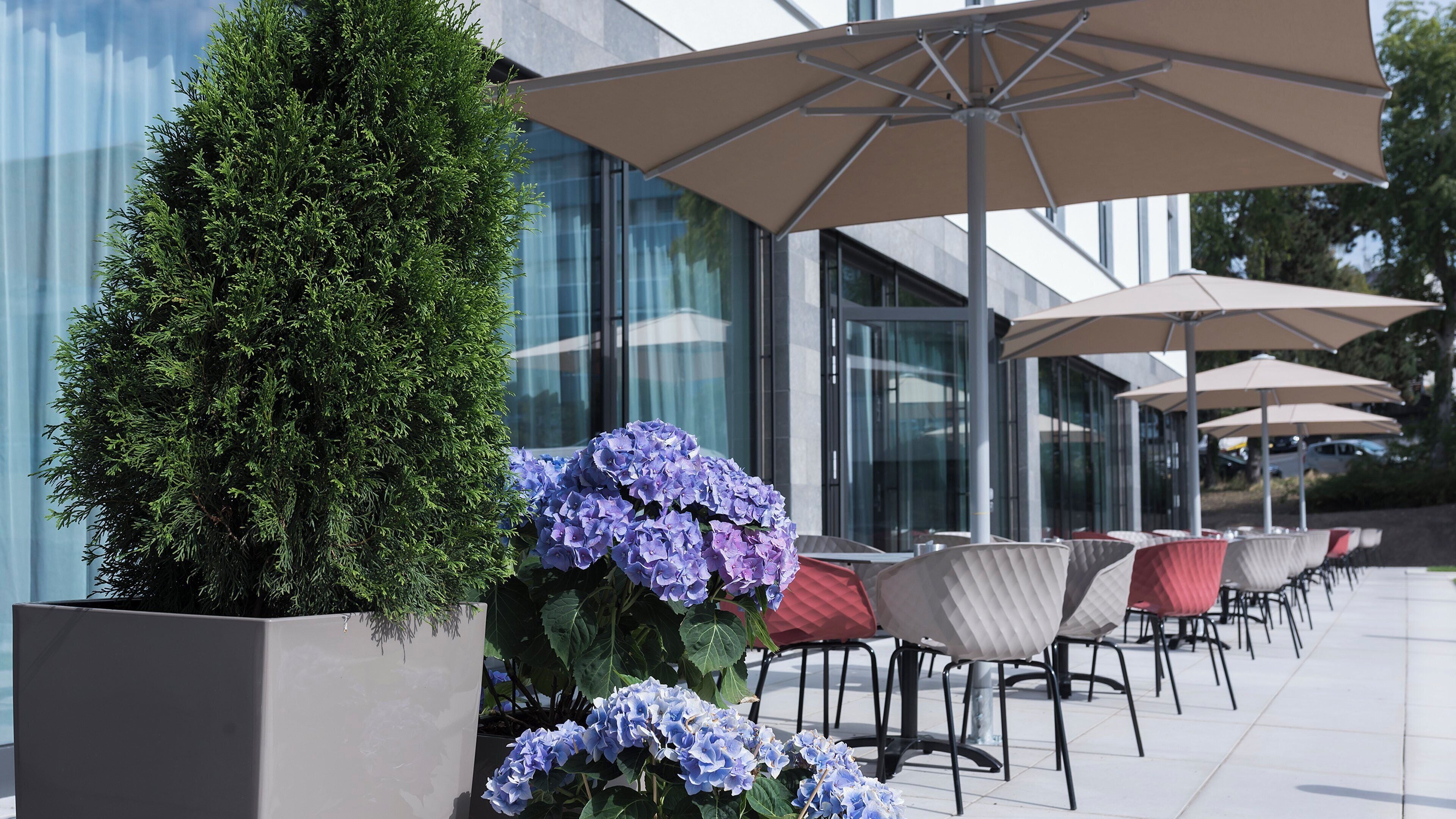 Foto - Holiday Inn Express Wiesbaden by IHG