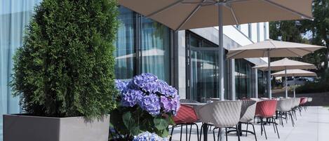 Outdoor seating with umbrellas, a potted tree, and a building with large windows.