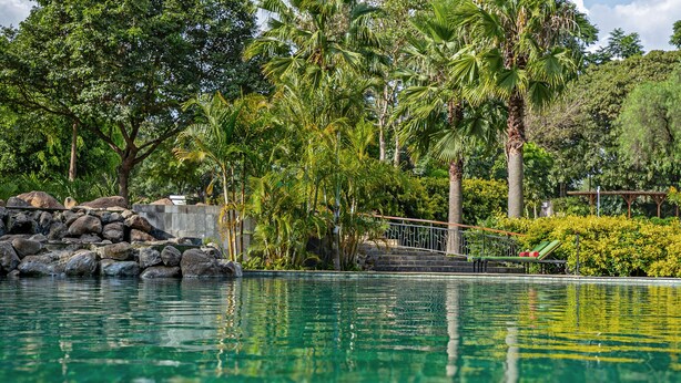 Una piscina cristalina rodeada de rocas y palmeras.