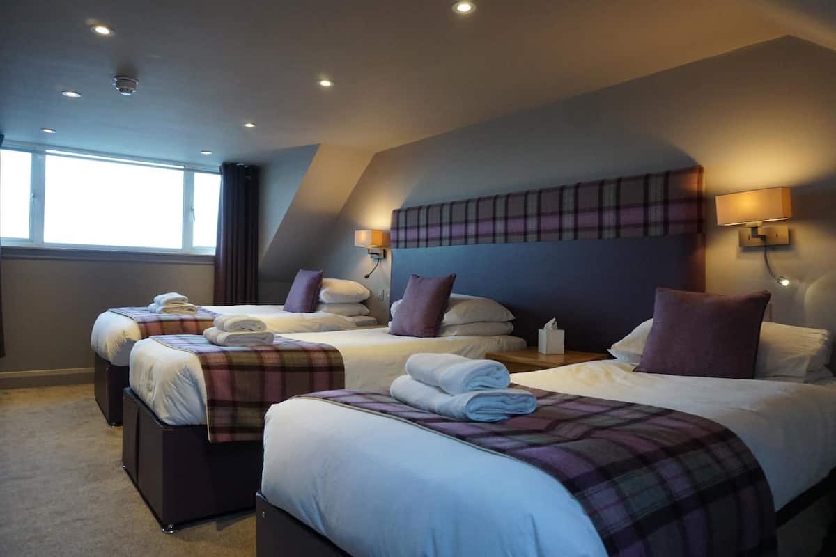 Iron/ironing board (on request), WiFi (free), bed sheets
