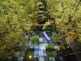 Se sirven desayunos, almuerzos y cenas; cocina internacional