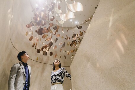 Dhawa Yura Kyoto - Image 34