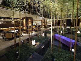 Se sirven desayunos, almuerzos y cenas; cocina internacional