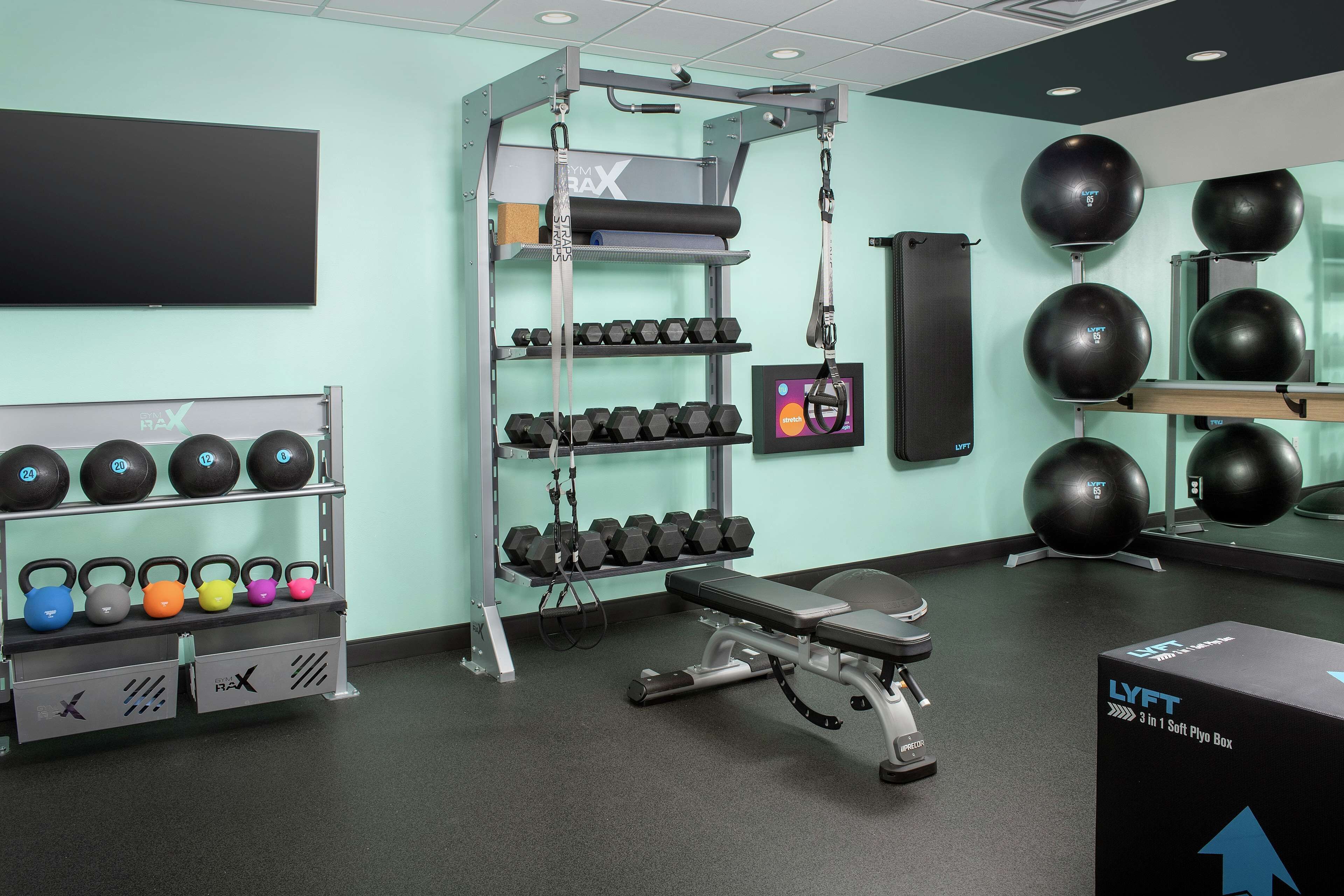 Une salle de sport équipée de matériel de musculation, d’haltères, de kettlebells et de ballons d’exercice.