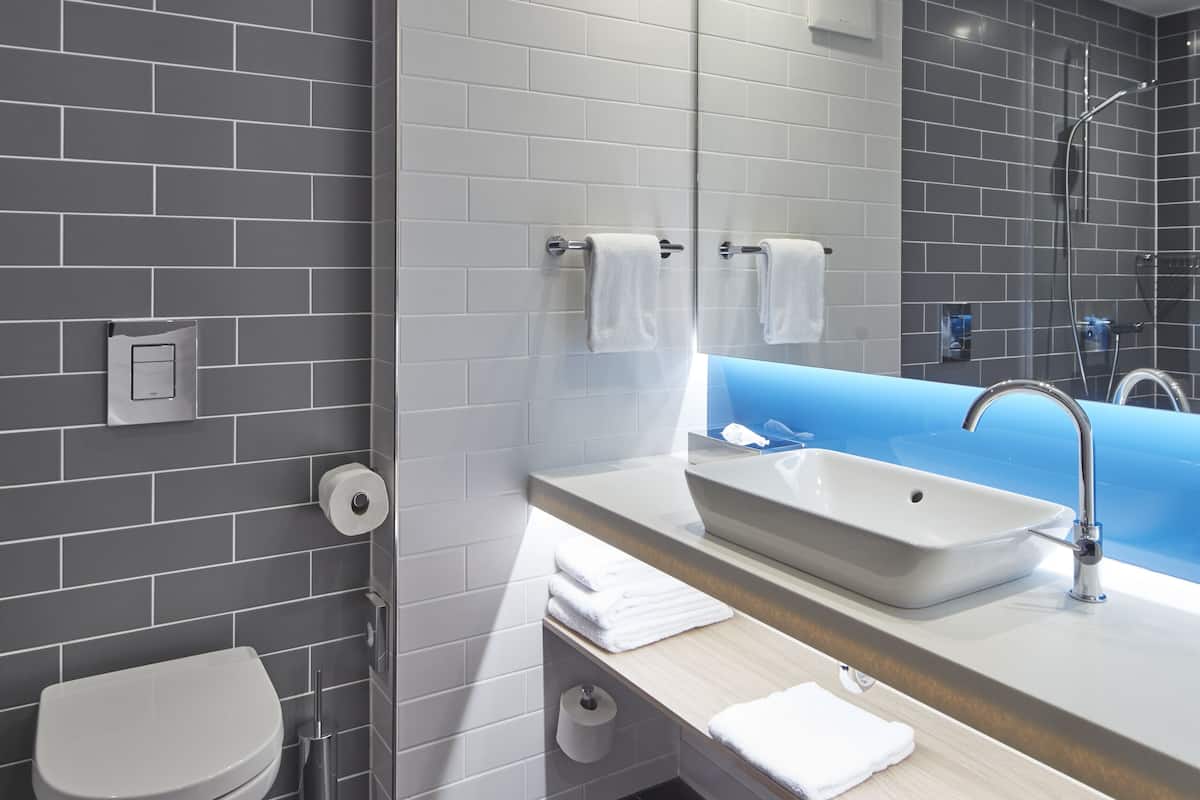 shower, free toiletries, hair dryer, towels