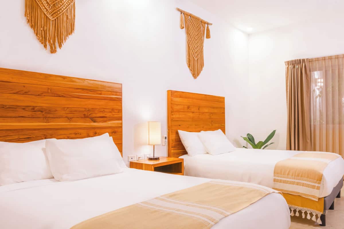 Habitación de hotel con dos camas, cabeceros de madera, ropa de cama blanca, una lámpara de noche y una planta.