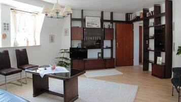 Televisión, chimenea, reproductor de DVD y libros