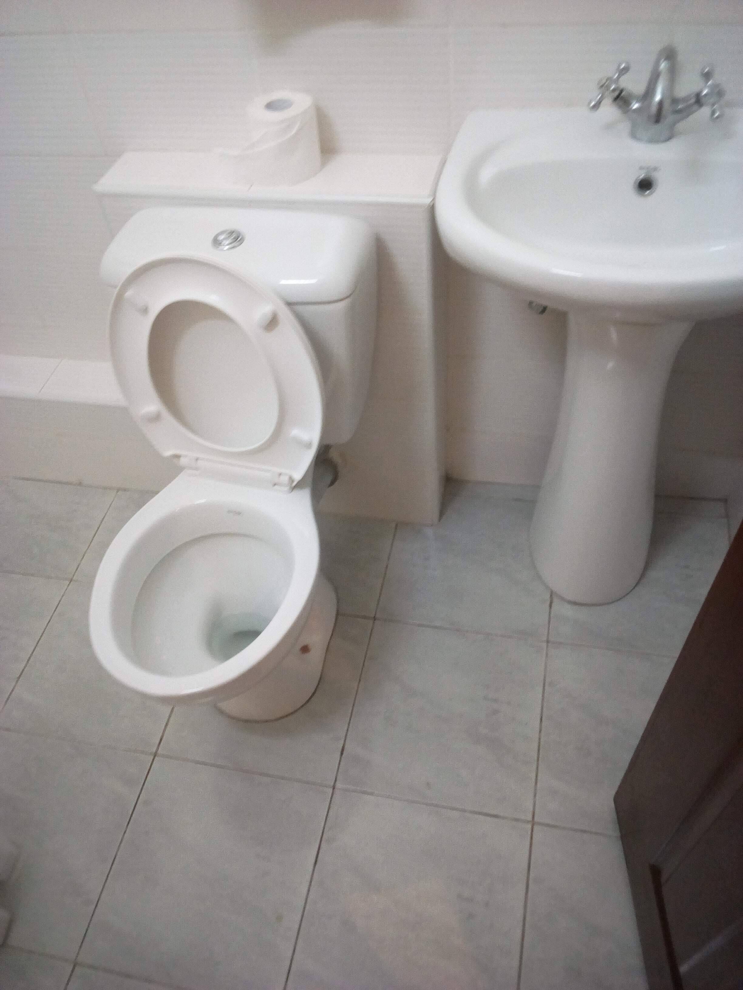 Casa de banho com sanita, lavatório e rolo de papel higiénico.