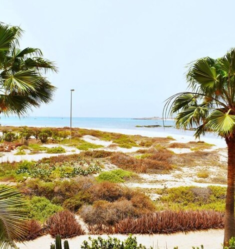 Orquidea Guest House