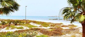 Orquidea Guest House