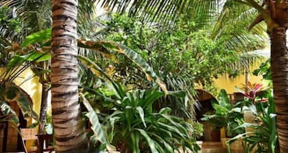 Orquidea Guest House