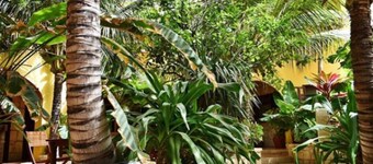 Orquidea Guest House