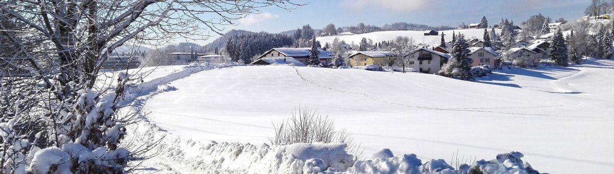 Schneebedeckte Landschaft mit Häusern und blauem Himmel.