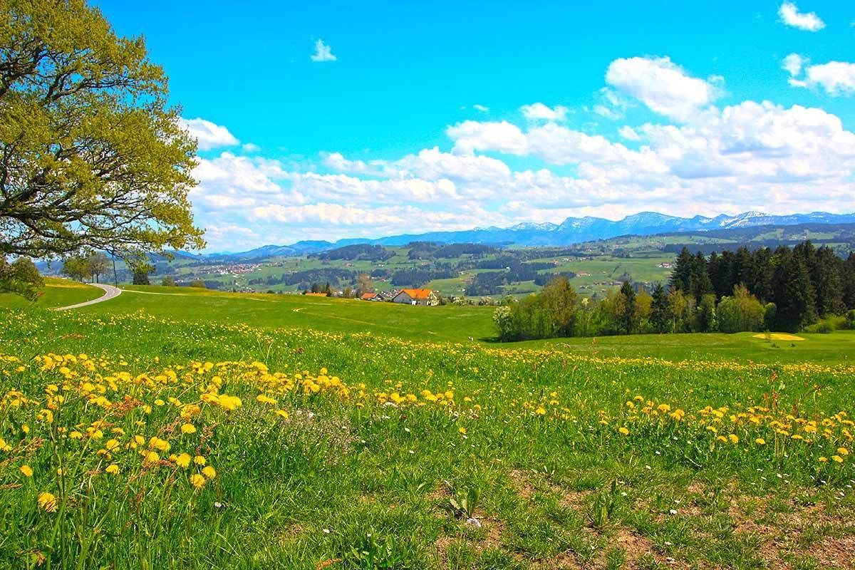 A rural landscape with a winding road, green fields, and a distant mountain range.