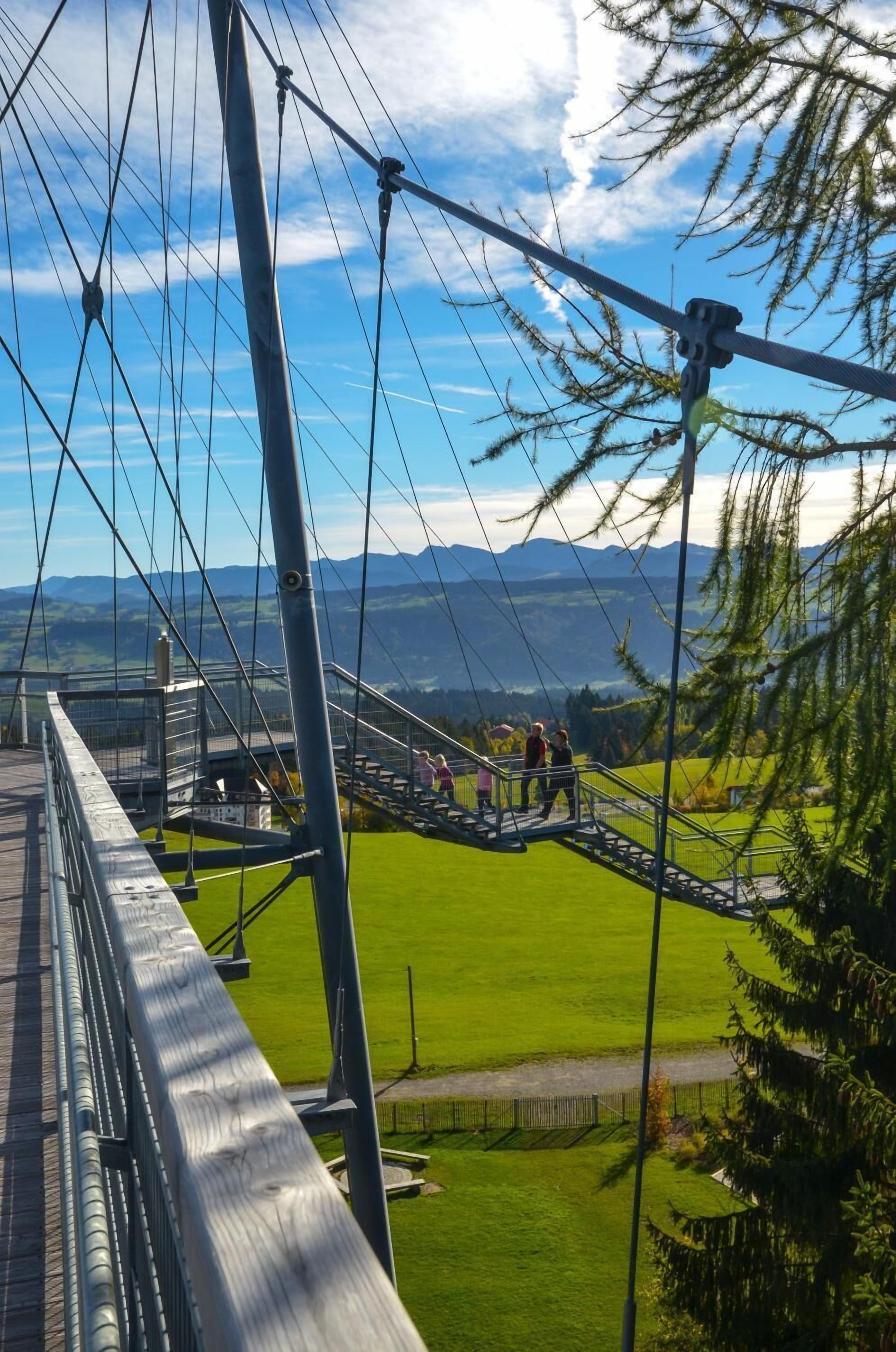 A suspension bridge with a metal railing, a grassy area below, and mountains in the background.