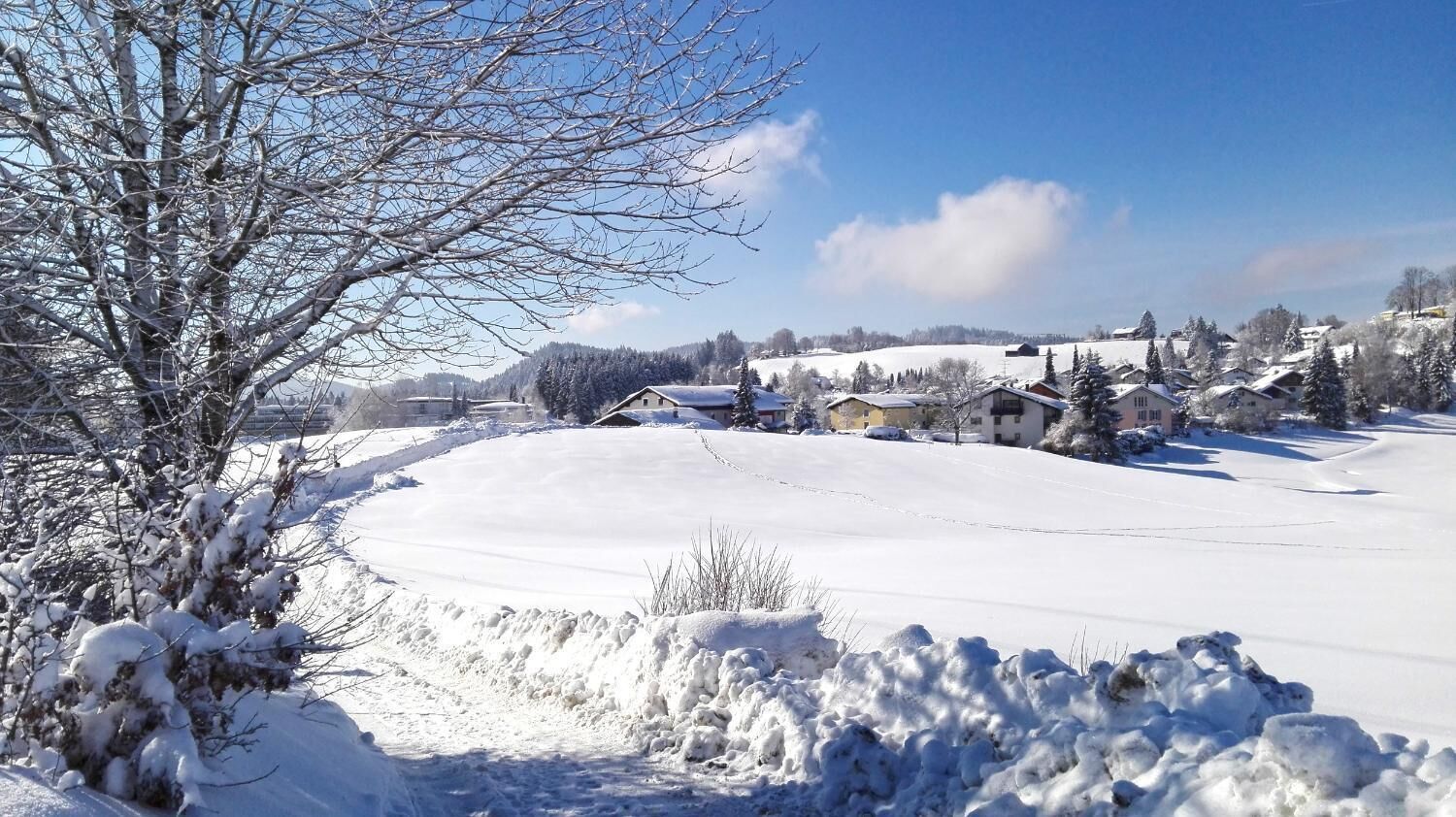 A snow-covered landscape with houses and a clear sky.