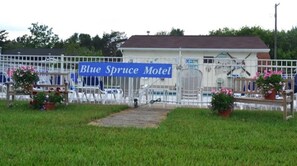 Seasonal outdoor pool, open 10:00 AM to 10:00 PM, pool loungers - Blue Spruce Motel (Port Austin)