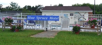 Blue Spruce Motel