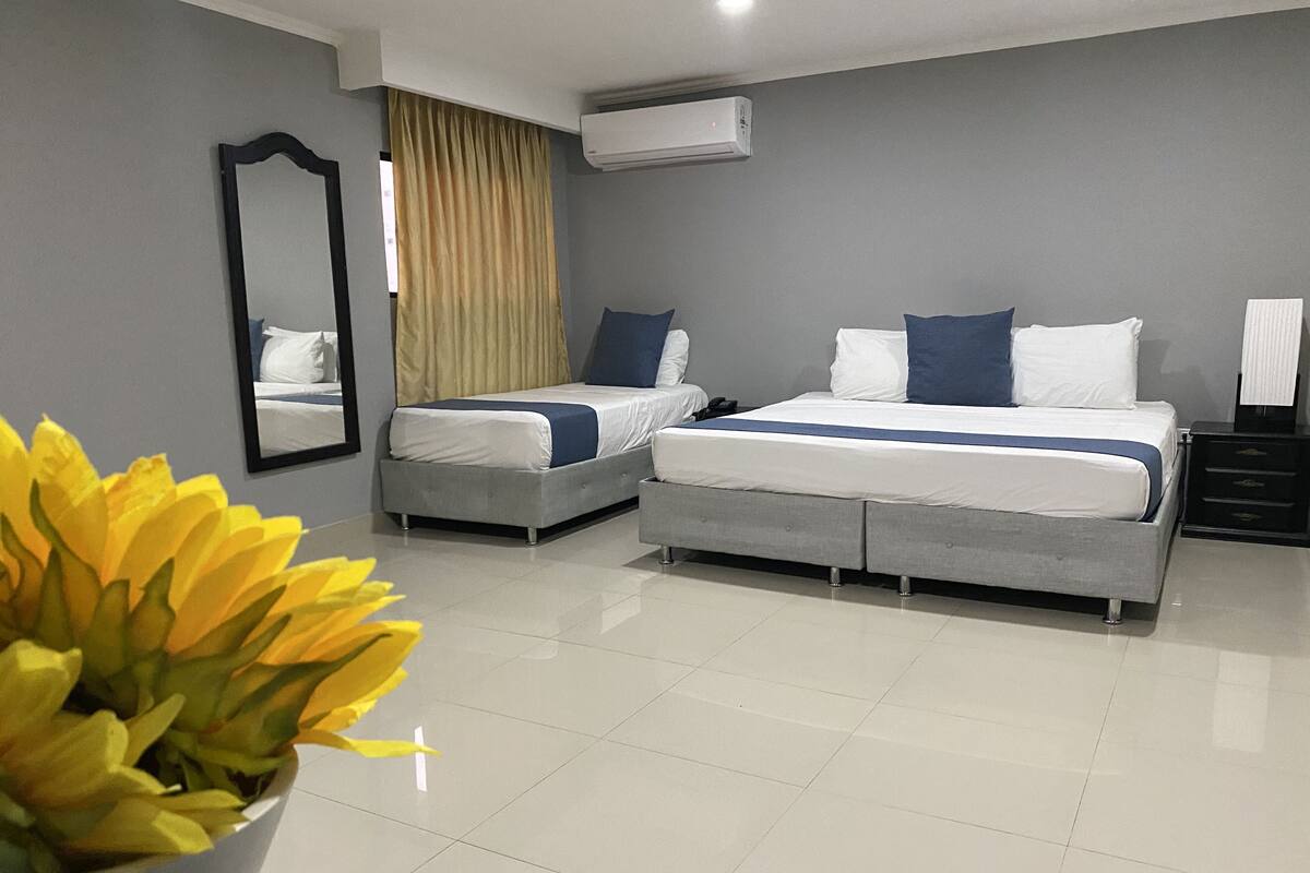 Habitación individual Premier, 1 cama King size | Wifi gratis y ropa de cama 
