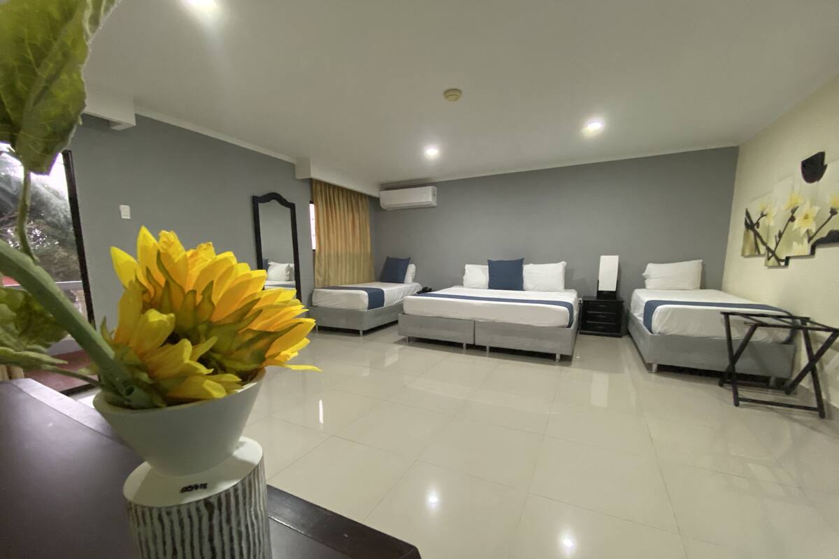 Habitación doble Premier, 1 cama King size | Wifi gratis y ropa de cama 