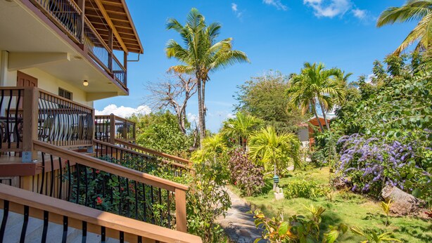 A hotel with a wooden balcony, a garden with palm trees, and a stone pathway. - Bayview Vacation Apartments (Virgin Gorda)
