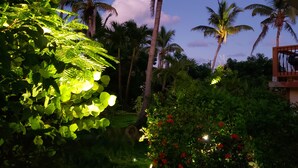 A lush garden with palm trees and red flowers, a balcony with a grill, and a building with a balcony. - Bayview Vacation Apartments (Virgin Gorda)
