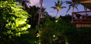 Property grounds - Bayview Vacation Apartments (Virgin Gorda)