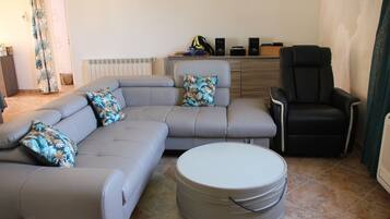 Télévision, cheminée, lecteur de DVD, livres