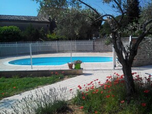 A swimming pool surrounded by a white fence, with a potted plant and red flowers in the foreground.