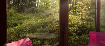 Condette-Hardelot, spacious villa on a 3000m2 pine forest, adjoining forest