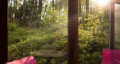 Condette-Hardelot, villa spacieuse sur une pinĂšde de 3000m2, attenante forĂȘt