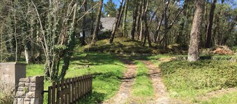 Condette-Hardelot, spacious villa on a 3000m2 pine forest, adjoining forest