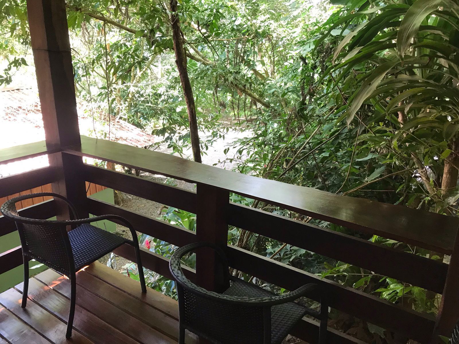 A wooden deck with two wicker chairs, overlooking a lush garden with dense foliage.