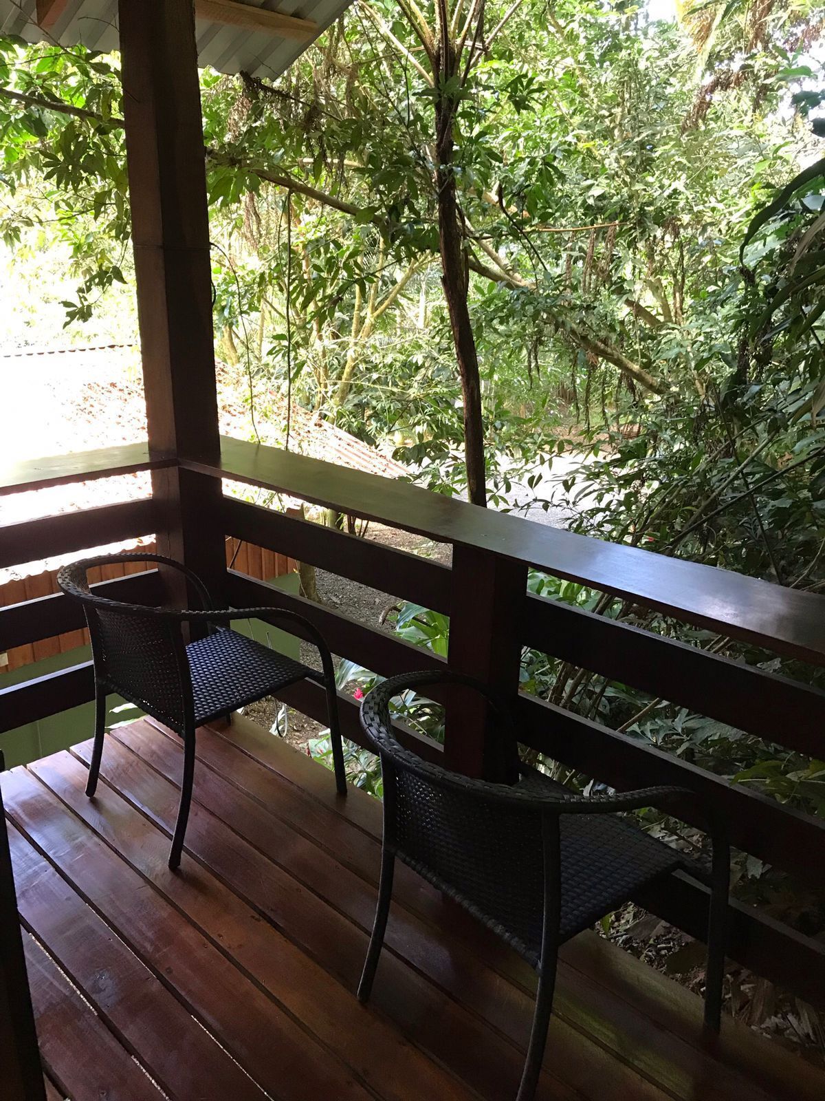 A wooden deck with two wicker chairs and a table, overlooking a lush garden with dense foliage.
