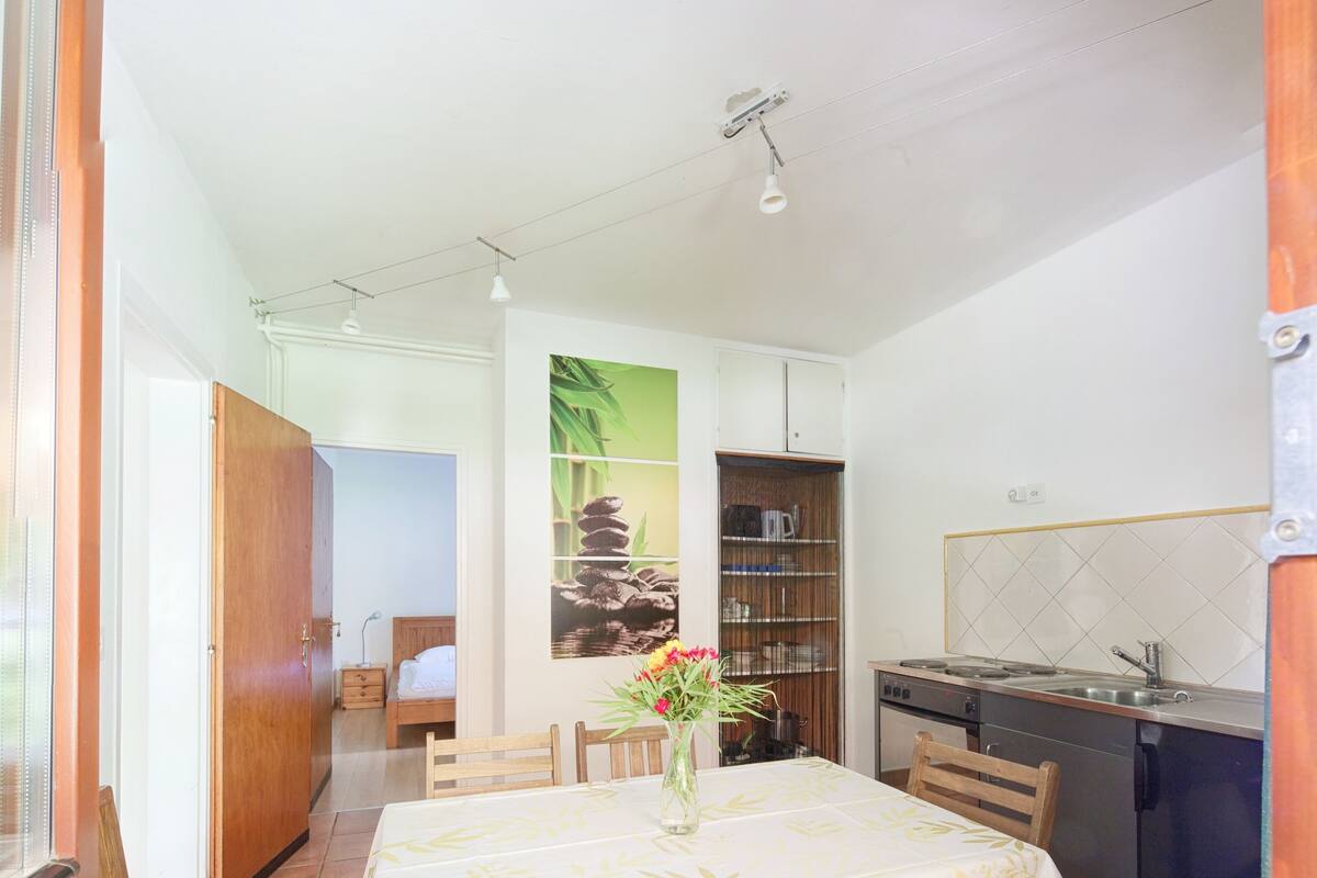 Apartment | Blackout drapes, WiFi (free), bed sheets